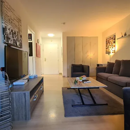 Conseil Immo -residence Avec Piscine, Avec Terrasse Pour 4 Personnes Appartement
